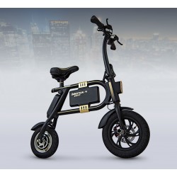 Inmotion P1F Inmotion P1F